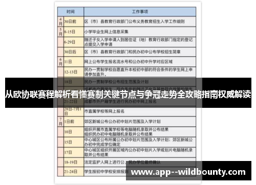 从欧协联赛程解析看懂赛制关键节点与争冠走势全攻略指南权威解读