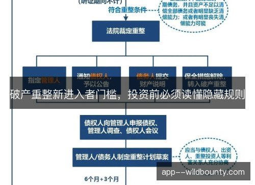 破产重整新进入者门槛,投资前必须读懂隐藏规则 破产重整新进入者门槛,投资前必须读懂隐藏规则