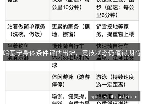 哈基宁身体条件评估出炉,竞技状态仍值得期待 哈基宁身体条件评估出炉,竞技状态仍值得期待