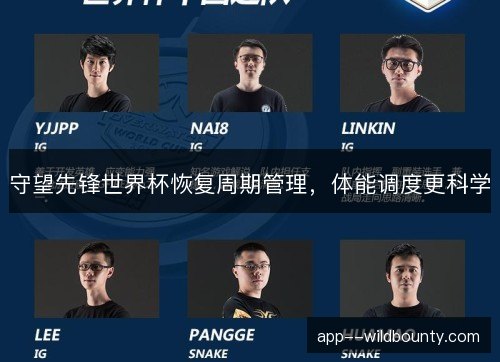 守望先锋世界杯恢复周期管理,体能调度更科学 守望先锋世界杯恢复周期管理,体能调度更科学